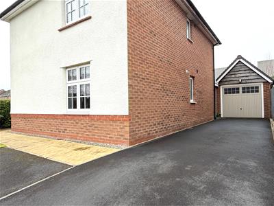 Picture 21